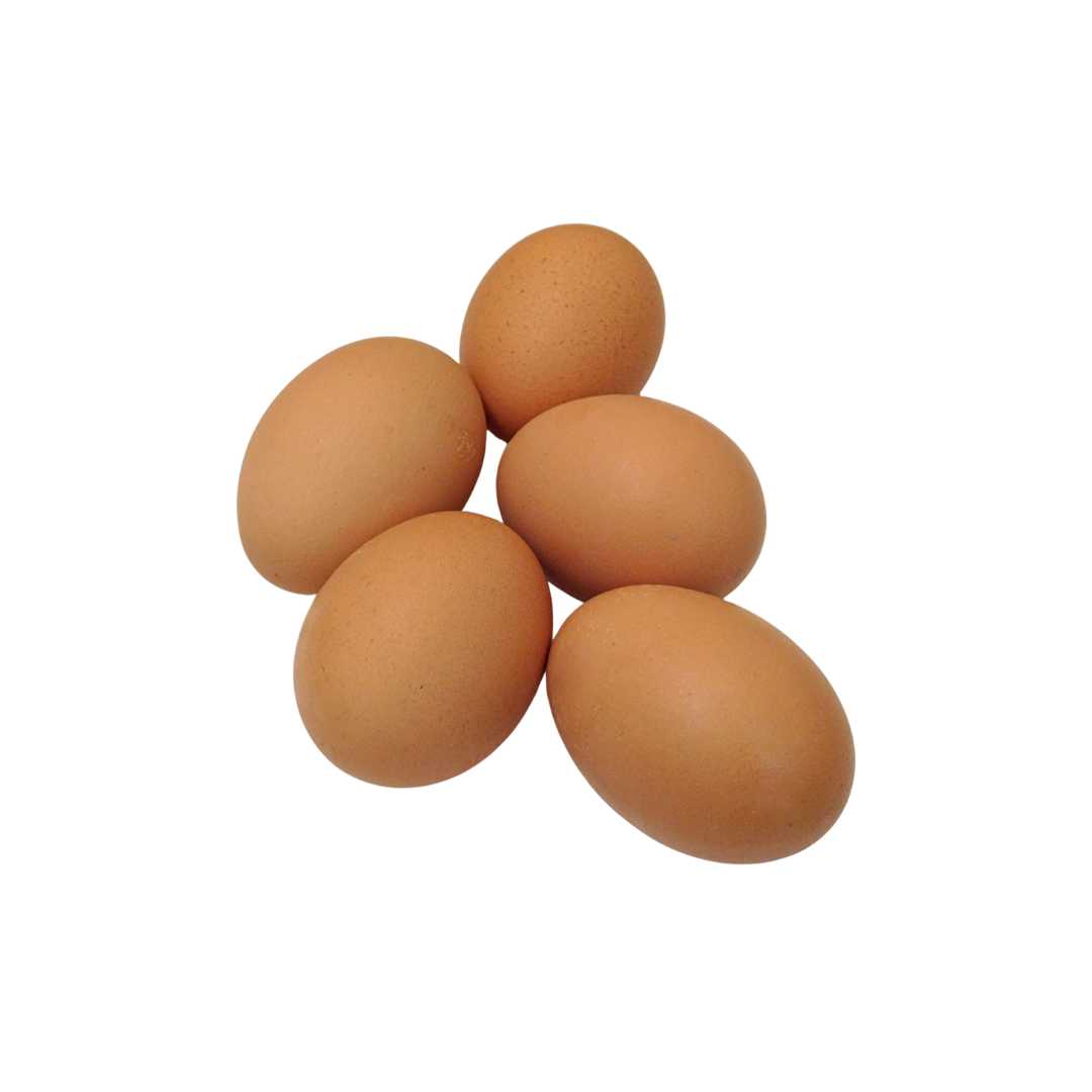 Eggs 10pc (Hard Pack-Size A)