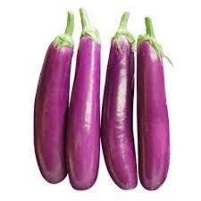 Brinjal Purple Long (2 pc)