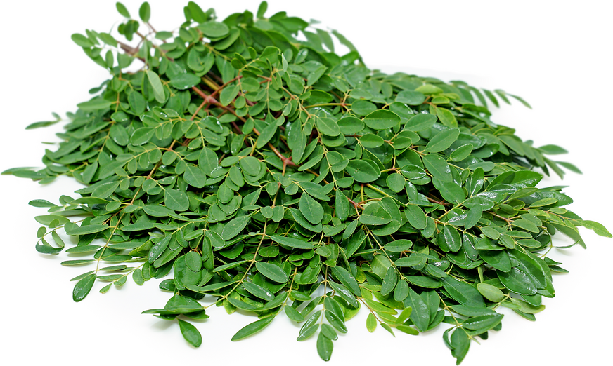 Murunggakirai (Moringa Leaves) 300g