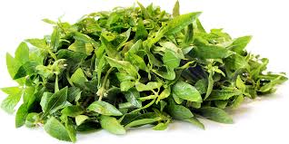 Ponnangani (Dwarf Copper Leaf) 500g