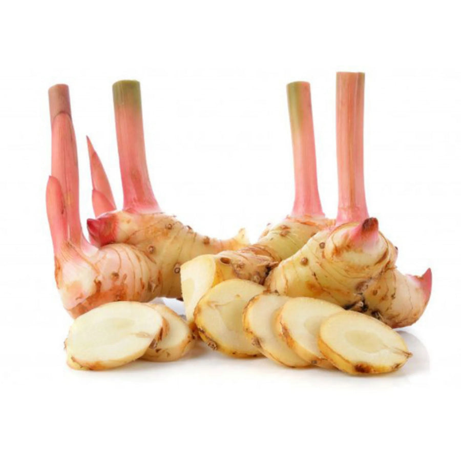 Blue Ginger Lengkuas (Malaysia) 1 kg