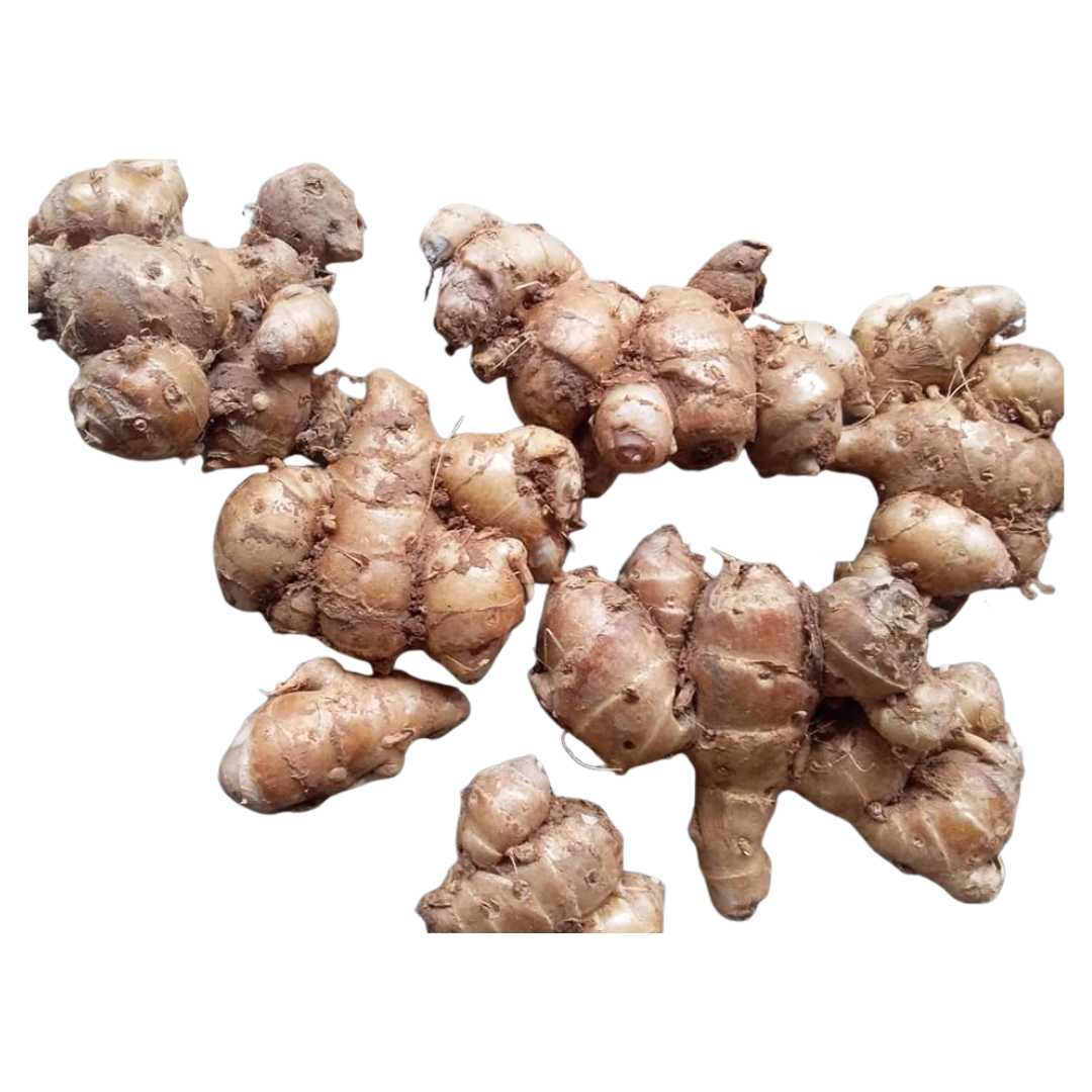 Sand Ginger Cikur (Indonesia) 80g