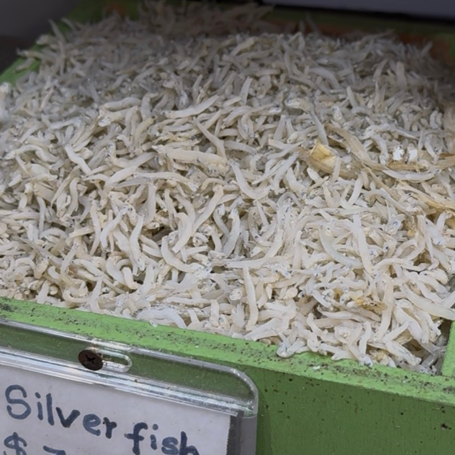 Dried Silverfish 100g